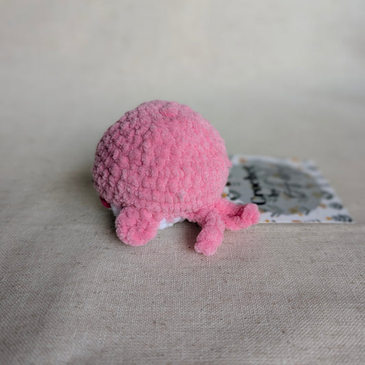 Teeny Whales