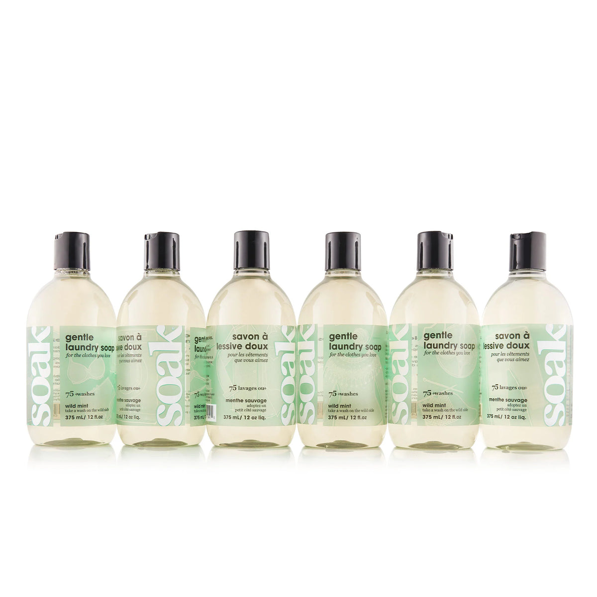 Laundry Soap • Wild Mint