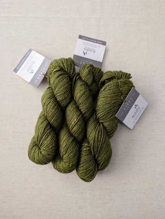 Acadia - Jack Pine