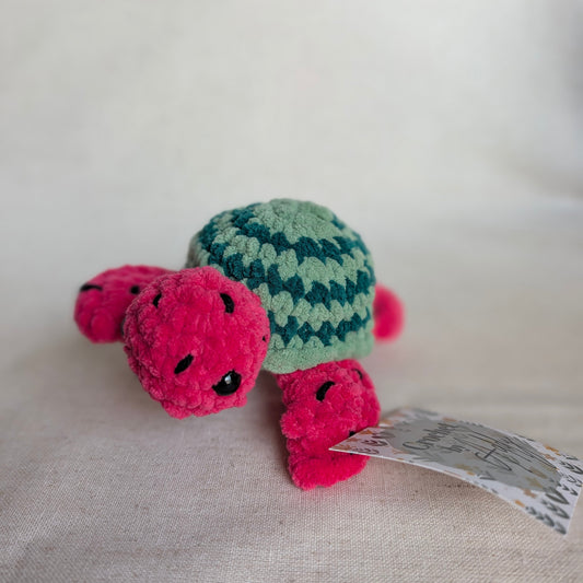 Watermelon Turtle